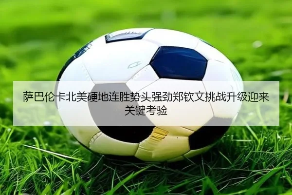 萨巴伦卡北美硬地连胜势头强劲郑钦文挑战升级迎来关键考验
